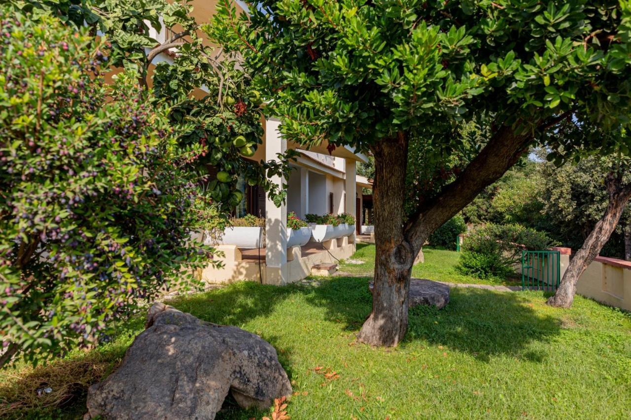 سان تيودورو Centro Residenziale Le Canne المظهر الخارجي الصورة